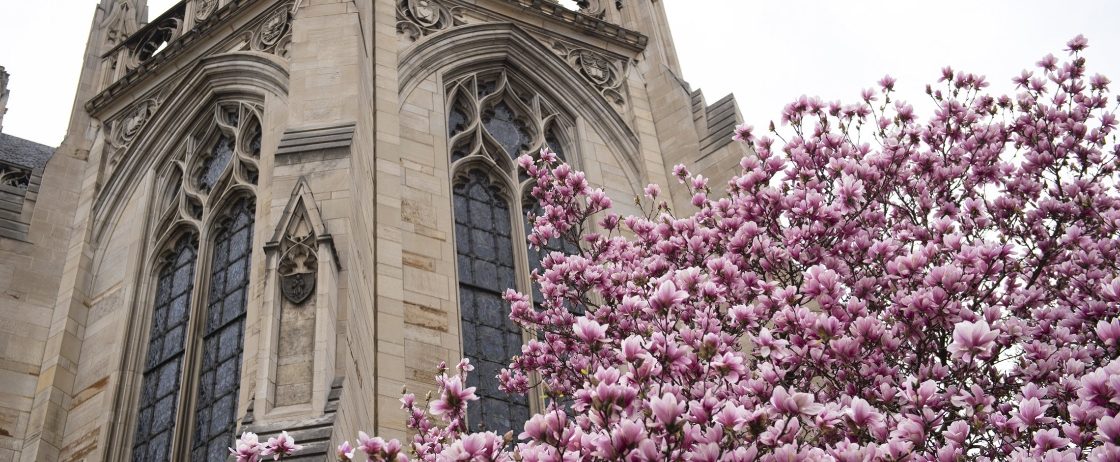 Cathedral with spring flowers