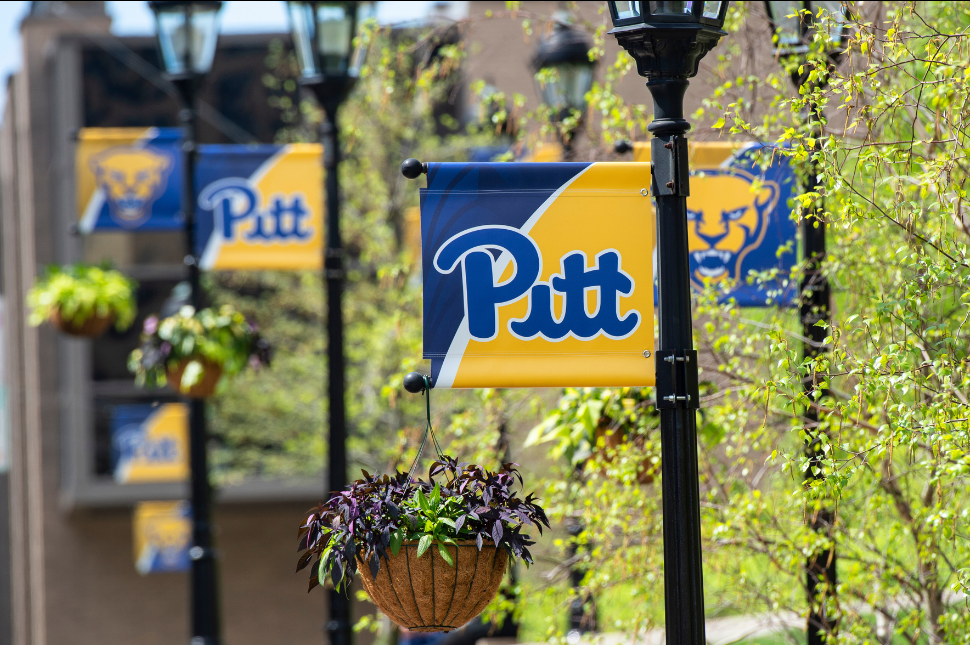 Pitt Banner image on a lamppost
