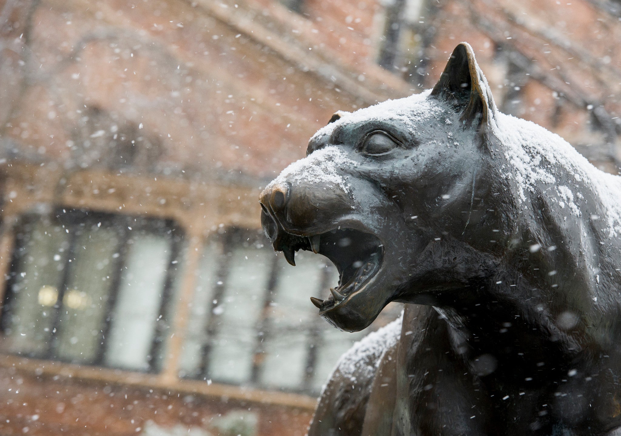 Pitt Panther Statue on Campus