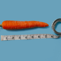 Carrot next to a measuring tape
